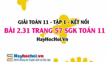 Giải bài 2.31 trang 57 Toán 11 tập 1 SGK Kết nối tri thức